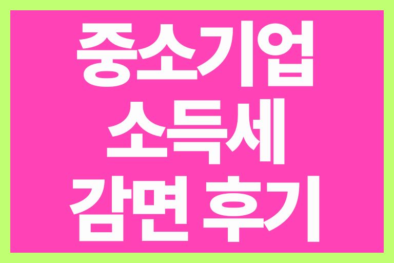 중소기업 소득세 감면 후기