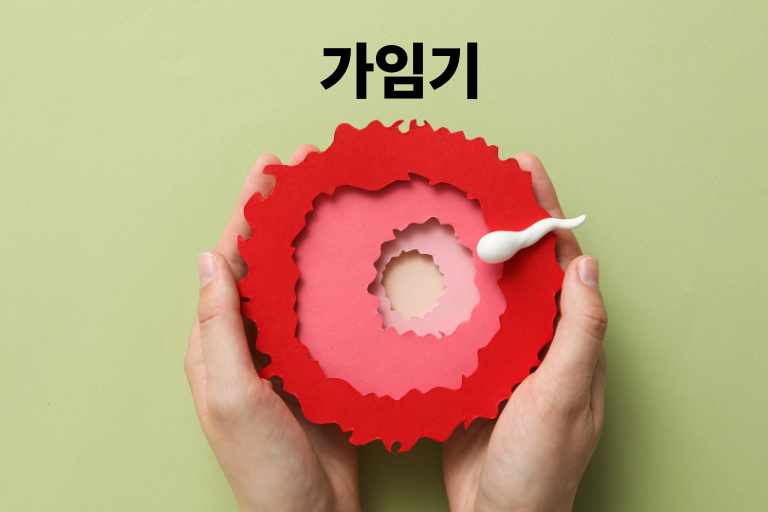 가임기 계산 하기